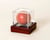 cricket ball case
